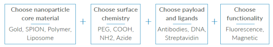 定制纳米粒子方案.png