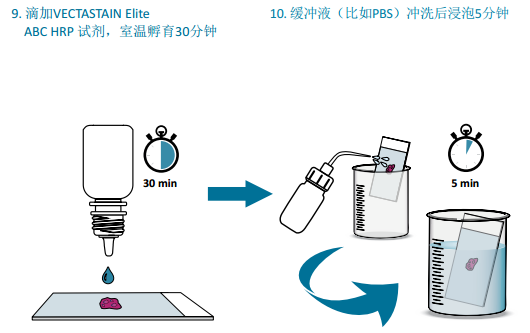 操作步骤5.png