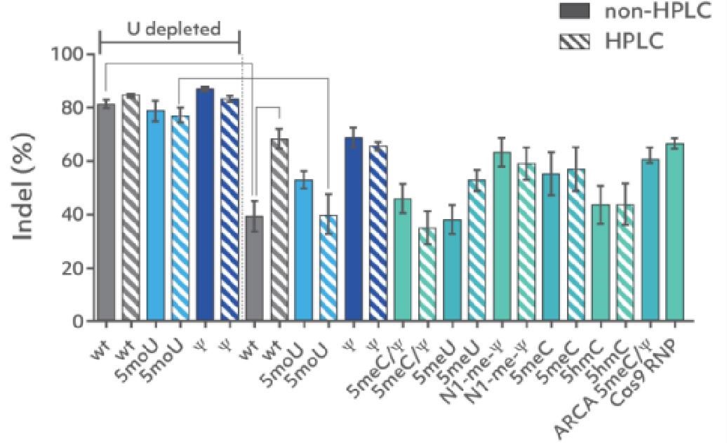 Cas9 mRNA 优化设计.jpg