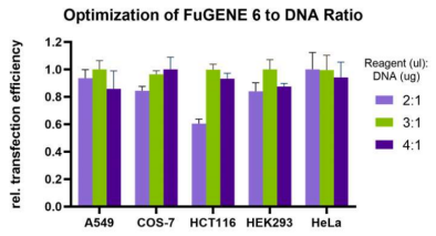 Fugene6 DNA 转染试剂实验举例