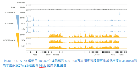 CUT&Tag高质量图谱.png