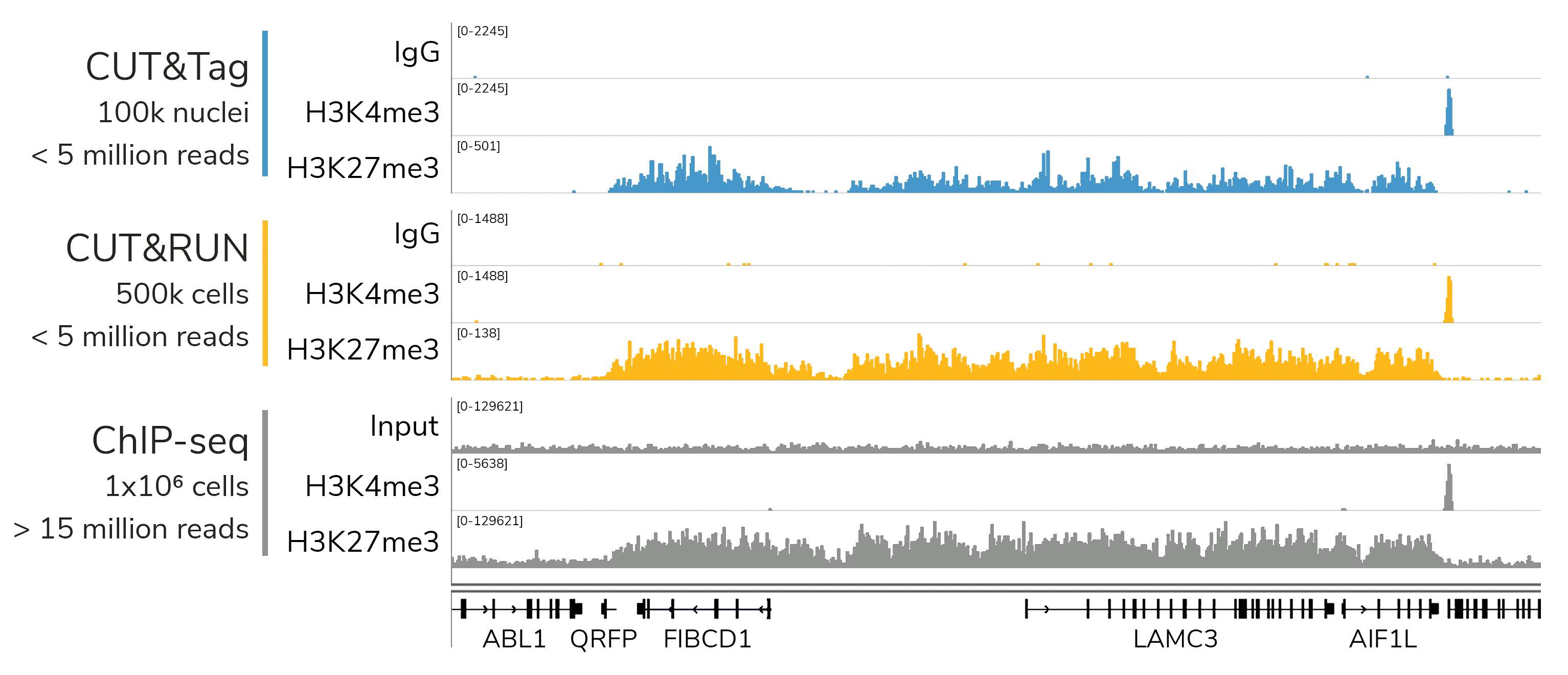 高质量的表观基因组图谱.png