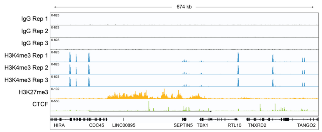 Figure 2.png