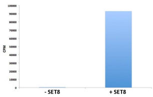 HMTase Assay Data.png