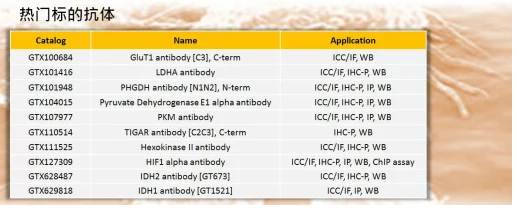 热门标的抗体.png