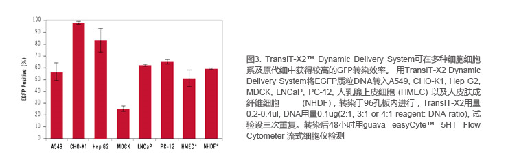 细胞毒性-2.png