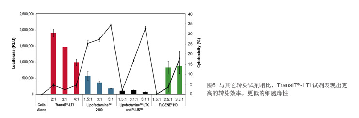 启动子分析.png