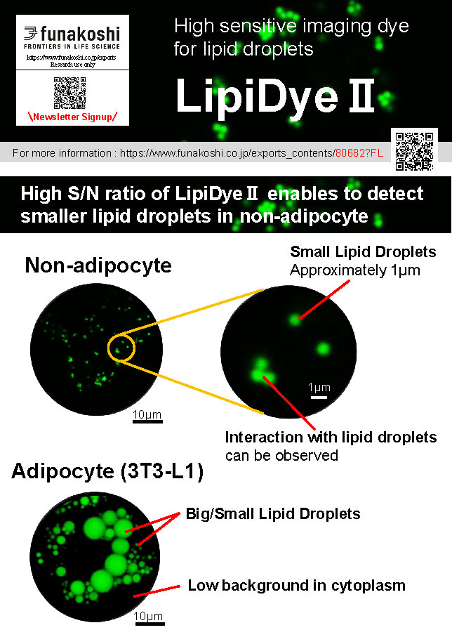 LipiDye Ⅱ.png