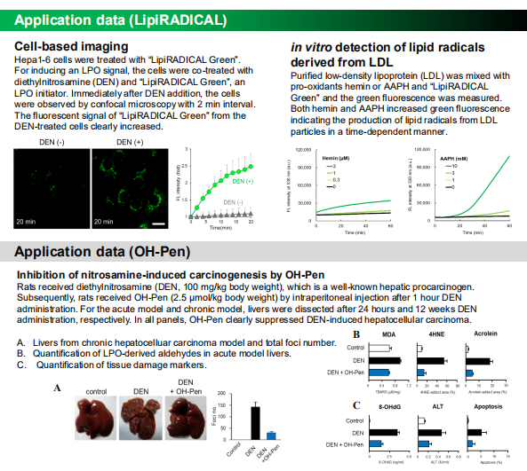 LipiRADICAL Green(2).png