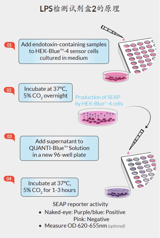 LPS检测试剂盒2的原理.png