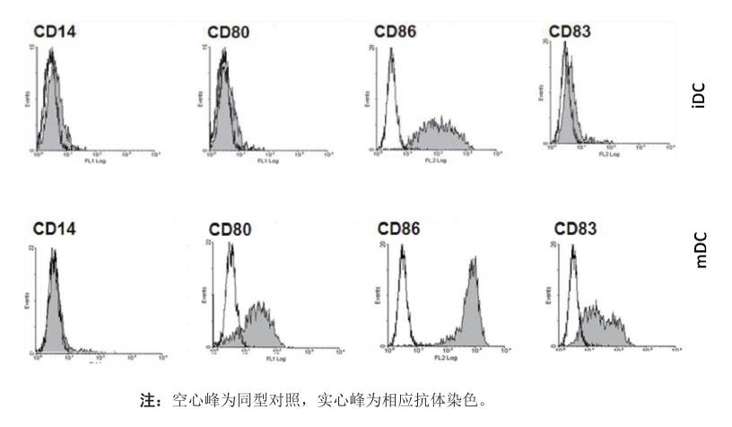 内毒素检测.png