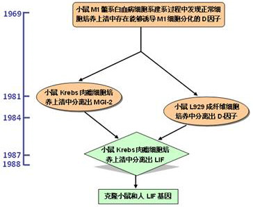 LIF发现历程