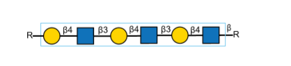 General Binding Motif结构.png