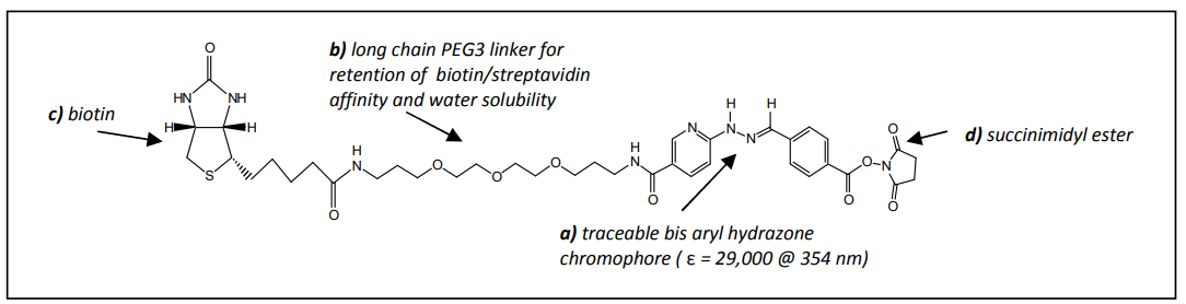 ChromaLink® Biotin的结构.png