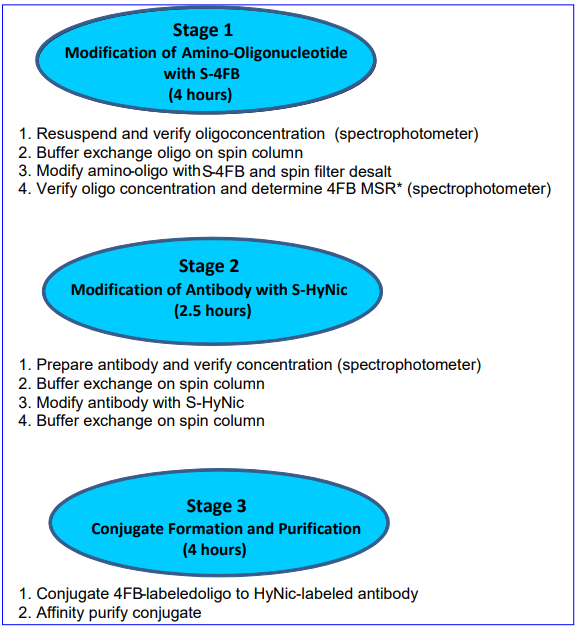 Antibody-Oligonucleotide-2.png