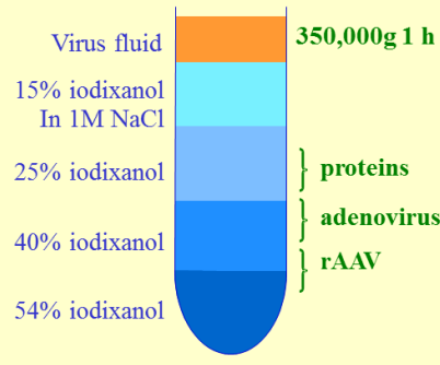 利用OptiPrep™分离rAAV