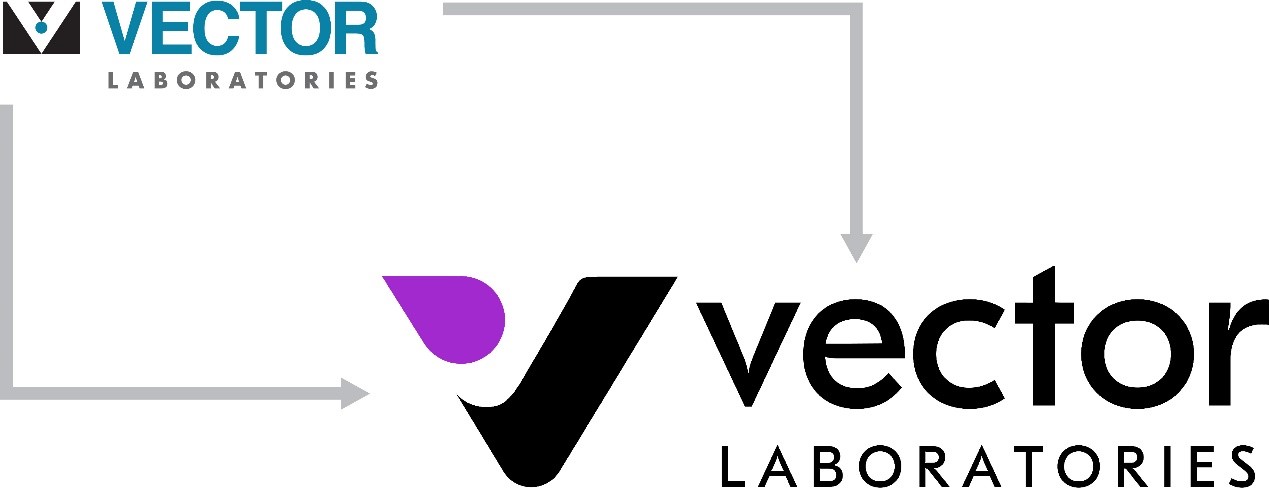 VectorLabs公司新Logo