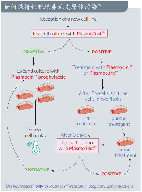 如何保持细胞培养无支原体污染.png
