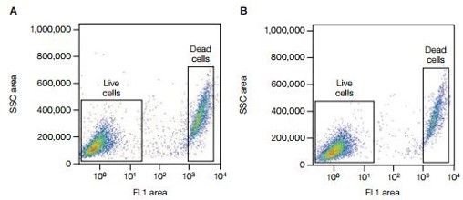 Figure 2.jpg