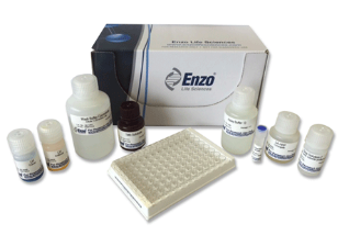 ENZ-KIT107-0001.png