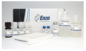 ENZ-KIT142-0001