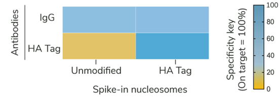 Figure 2.png