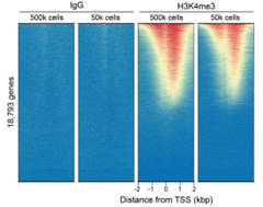 genome-wide.png