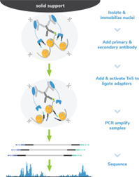 methods（8）.png