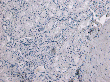 EB08219（1）.png